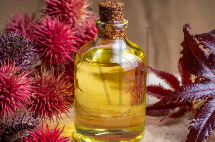 Does Castor Oil Help Hair Growth Benefits and User Guide