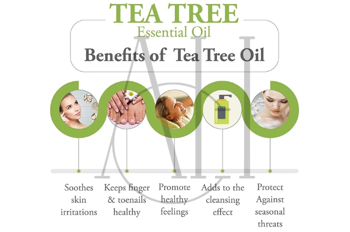 benefits of tea tree oil for hair