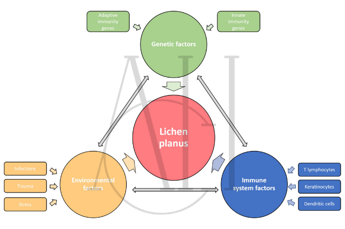 causes of lichen planopilaris