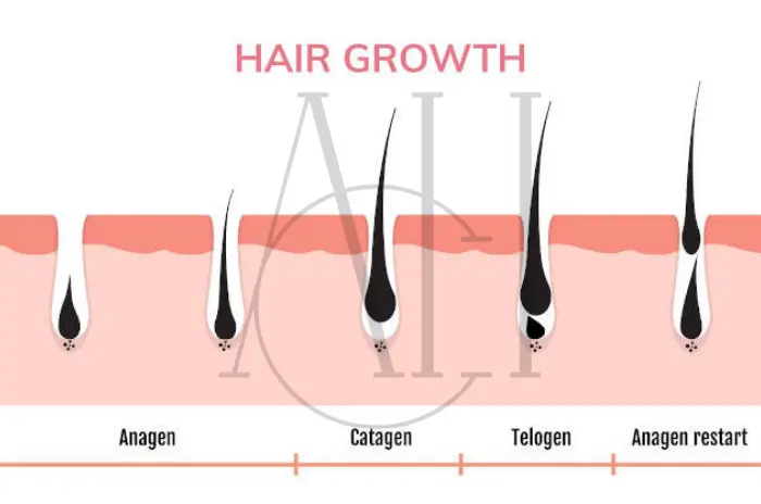 Finasteride for Hair Loss