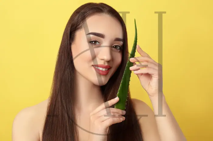 How Can Aloe Vera Improve Hair Growth