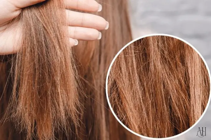 Hair Breakage Causes Treatments and Prevention Tips