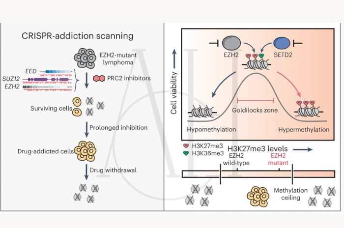 Hair loss medication